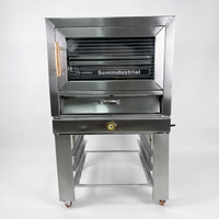 HORNO CON GRADILLERO SEMINDUSTRIAL - 2 BANDEJAS (ACERO)